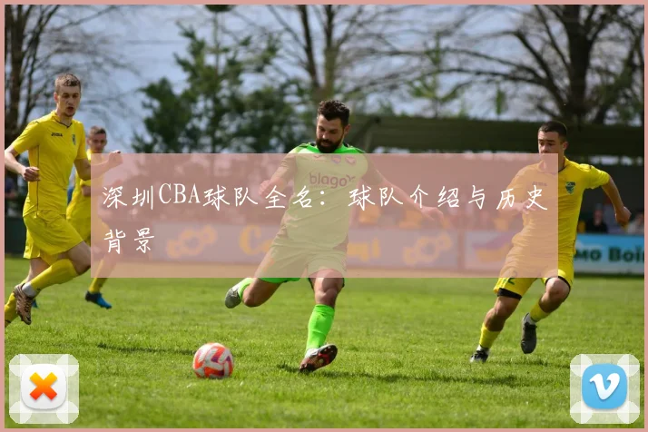深圳CBA球队全名：球队介绍与历史背景