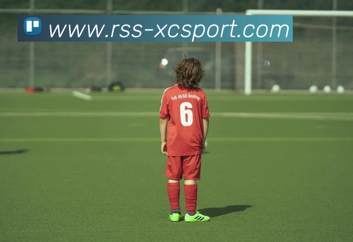 杏彩体育APP 封面图